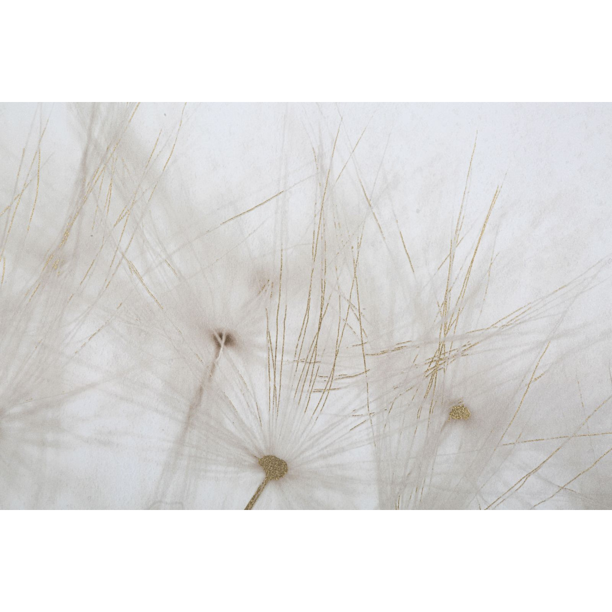 Kendra Home - Stampa su Tela Soffioni, Multicolore, 80x3x120 cm