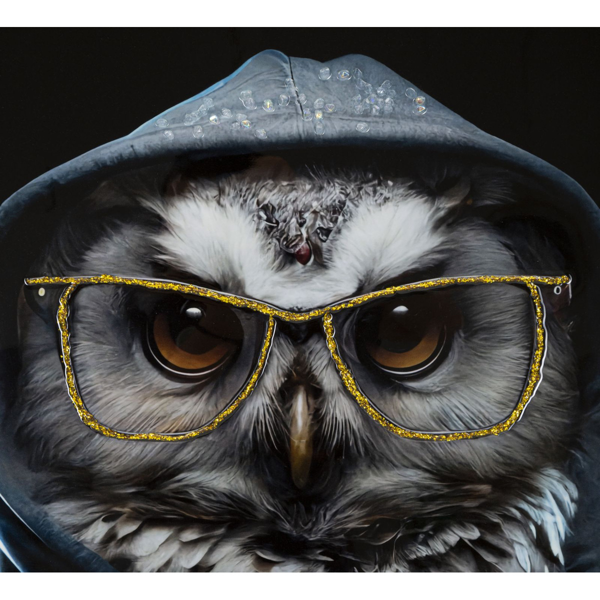 Kendra Home - Stampa su Tela Gufo, Multicolore, 53x3x73 cm