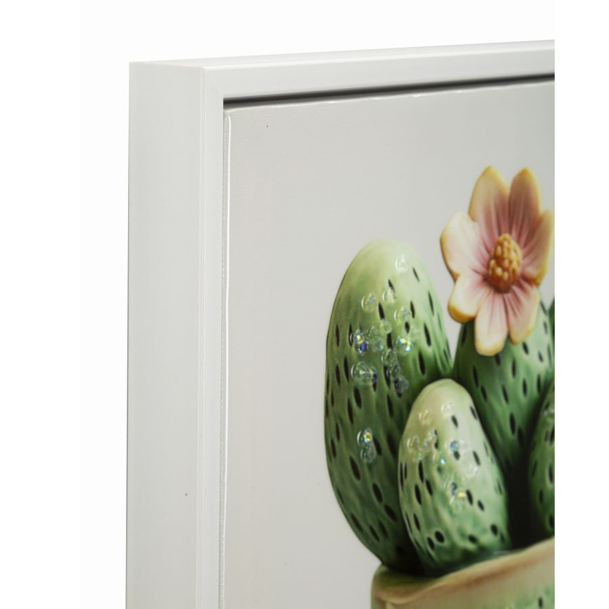 Kendra Home - Stampa su Tela con Cornice Cactus 2, Multicolore, 40x2,8x40 cm