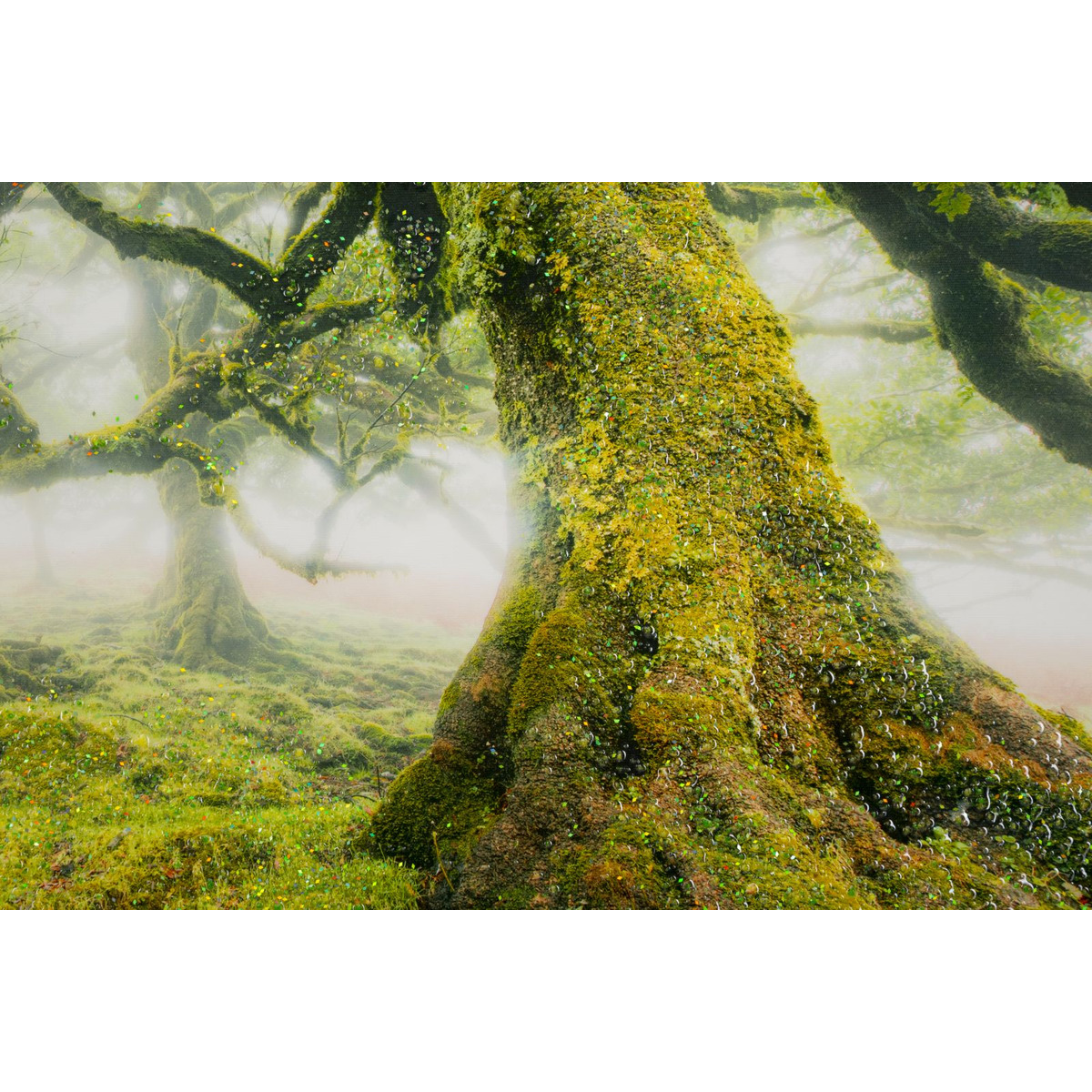 Kendra Home - Stampa su Tela con Cornice Albero 3, Multicolore, 90x4x60 cm