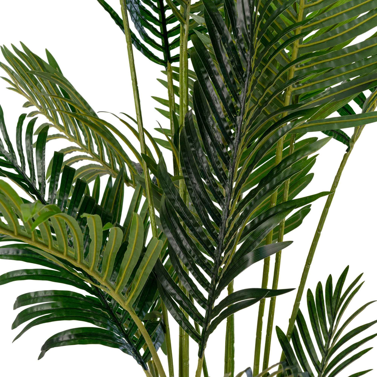 Kendra Home - Pianta Artificiale Areca, Verde, 64x64x175 cm