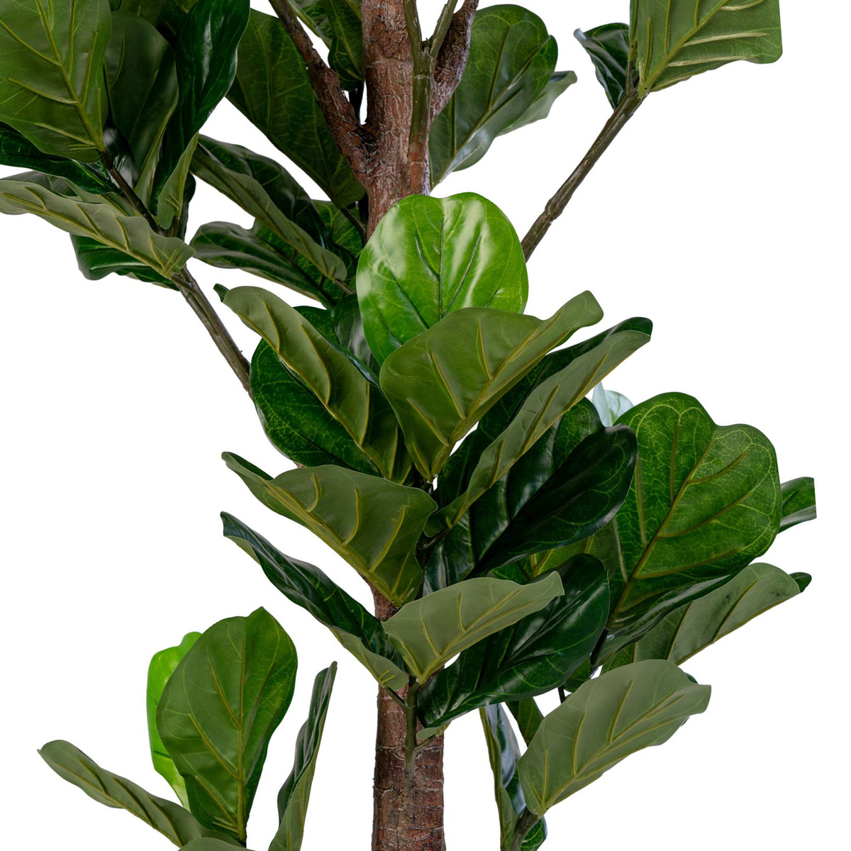 Kendra Home - Pianta Artificiale Ficus Lyrata, Verde, 81x93x190 cm