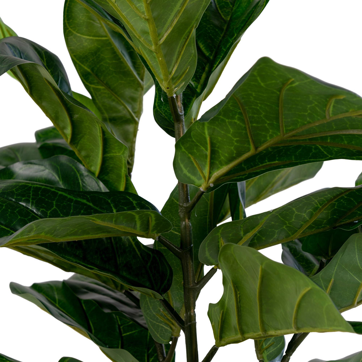Kendra Home - Pianta Artificiale Ficus Lyrata, Verde, 36x46x100 cm