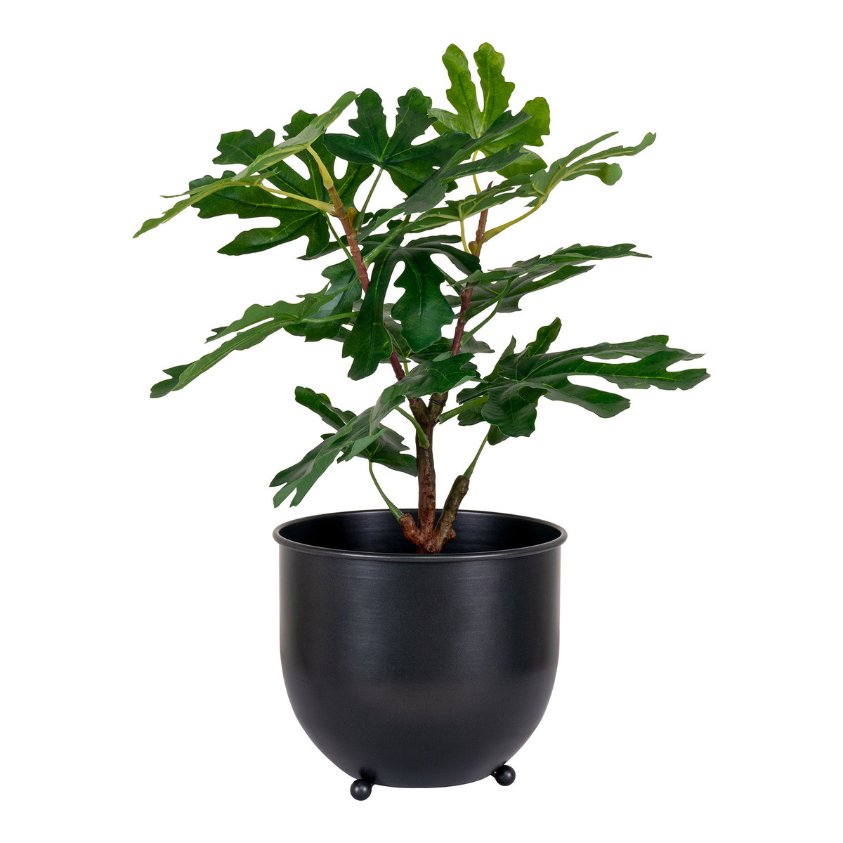 Kendra Home - Pianta Artificiale Ficus, Verde, 40x40x60 cm