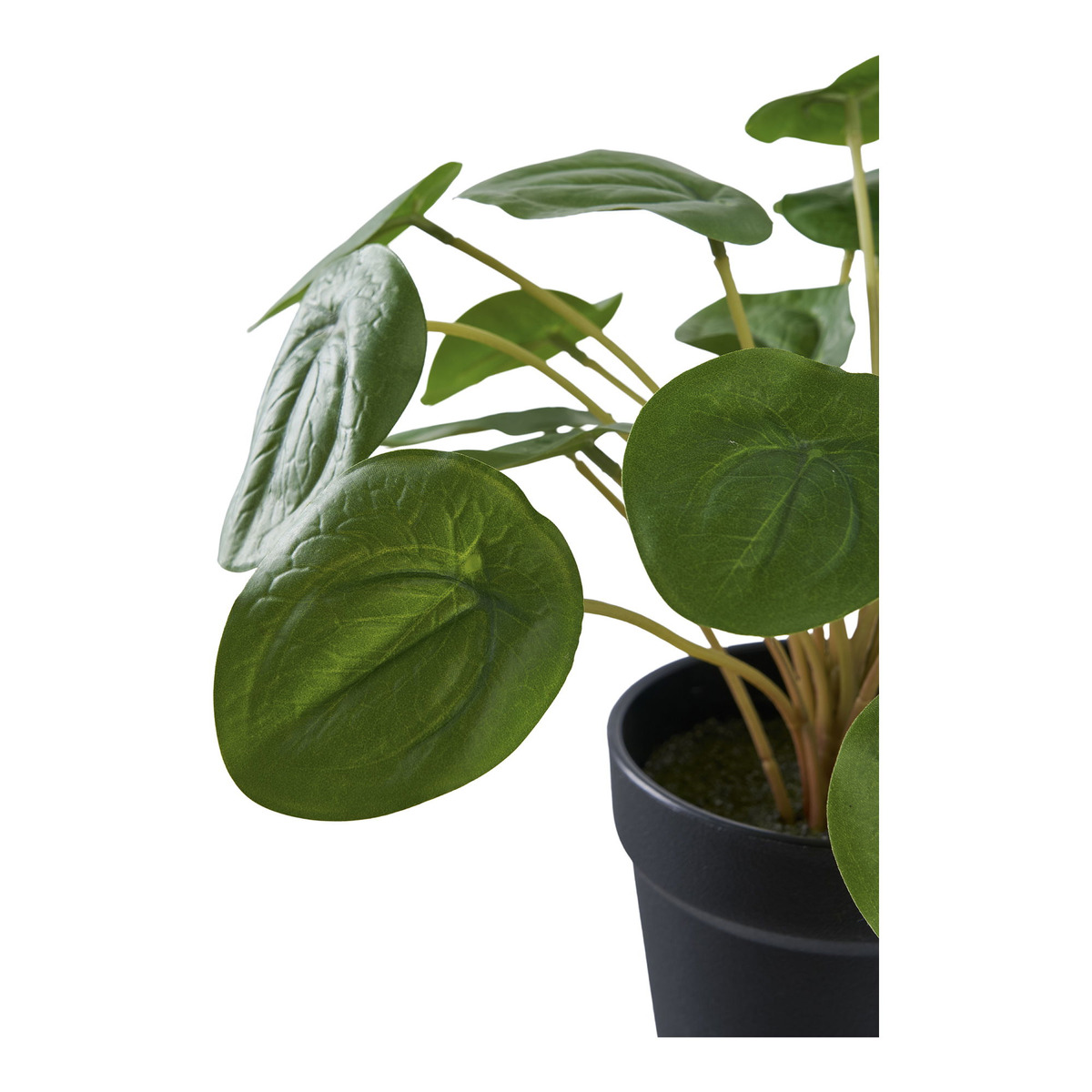 Kendra Home - Pianta Artificiale Pilea, Verde, 28x28x14 cm