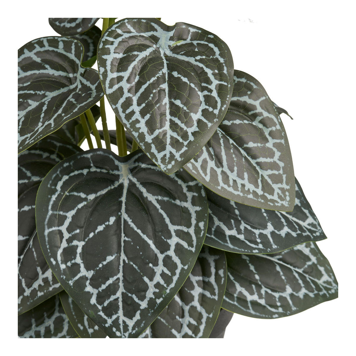 Kendra Home - Pianta Artificiale Alexander, Verde, 21x20x33 cm