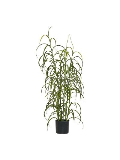 Kendra Home - Pianta Artificiale Grass, Verde, 36x36x89 cm