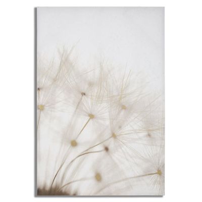 Kendra Home - Stampa su Tela Soffioni, Multicolore, 80x3x120 cm