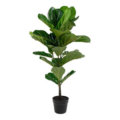 Kendra Home - Pianta Artificiale Ficus Lyrata, Verde, 36x46x100 cm