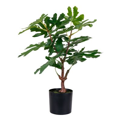 Kendra Home - Pianta Artificiale Ficus, Verde, 40x40x60 cm
