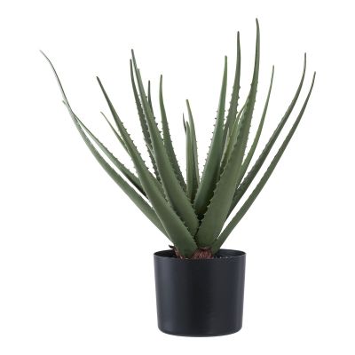 Kendra Home - Pianta Artificiale Aloe, Verde, 30,5x30,5x51 cm